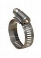 auto hose clamp 2