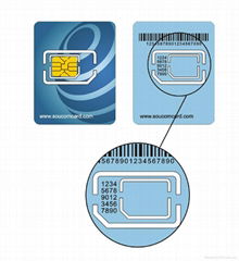 Mini-UICC SIM/UIM