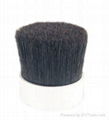 natural black bristle 1