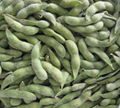 Frozen soybean 2