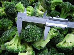 IQF broccoli