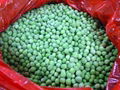 Frozen green pea