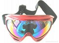 Ski Goggles 1