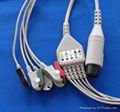 Holter ECG leadwires 2