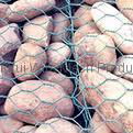 hexagonal wire mesh