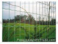 holland wire mesh 2