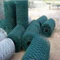 hexagonal wire mesh 5