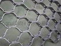 tortoise shell mesh 3