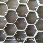 tortoise shell mesh 4
