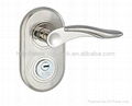 Zinc alloy Door Lock 2