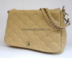 ladies handbag