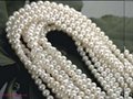 wholesale Loose Freshwater Pearl Strand