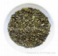 3505C gunpowder green tea 5