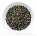 9275 gunpowder green tea 1
