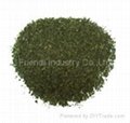 34403 gunpowder green tea 1