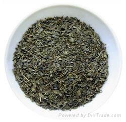9366 chunmee green tea 1