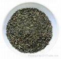 9366 chunmee green tea