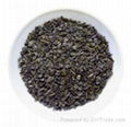 9175 gunpowder green tea