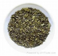 9675 gunpowder green tea