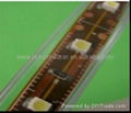 LED SMD Waterproof 3528/5050 Ribbon/Cannula Light Strip