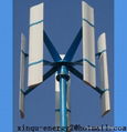 vertical axis turbine generator 300W 1