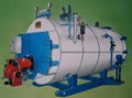 Oil/Gas Fired Boiler