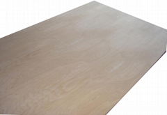 Plywood