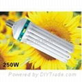 5U65W energy saving lamp 4