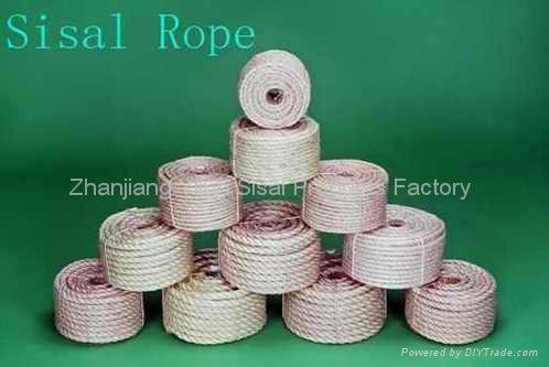 sisal rope 2