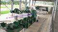 Creper  Natural Raw rubber primary processing machine 2