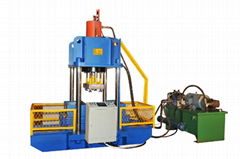 Hydraulic baling press