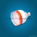 LED球泡灯（满天星、4W、80LED、E27接口） 1