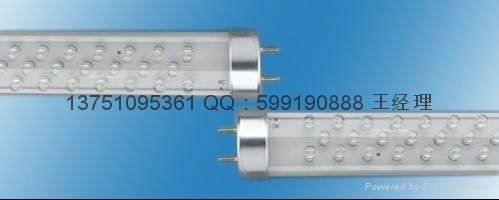 Leds (T8 60CM, fluorescent lamp, 174LED) 10W