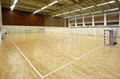 handball pvc flooring