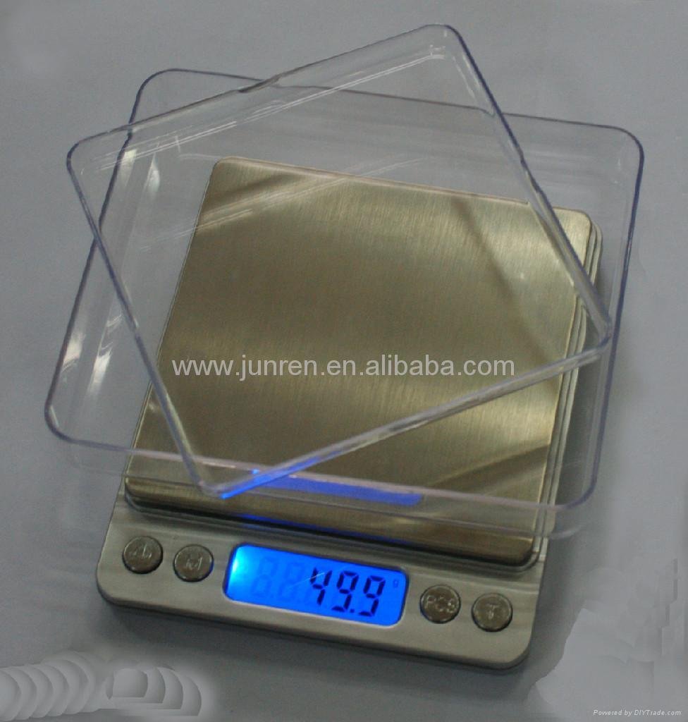I2000-01 Model Industrial Scale 2