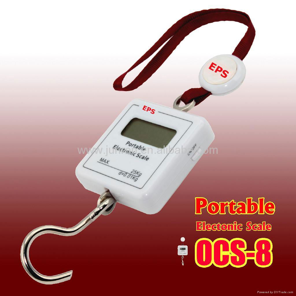 OCS-08 Model L   age Hanging Scale