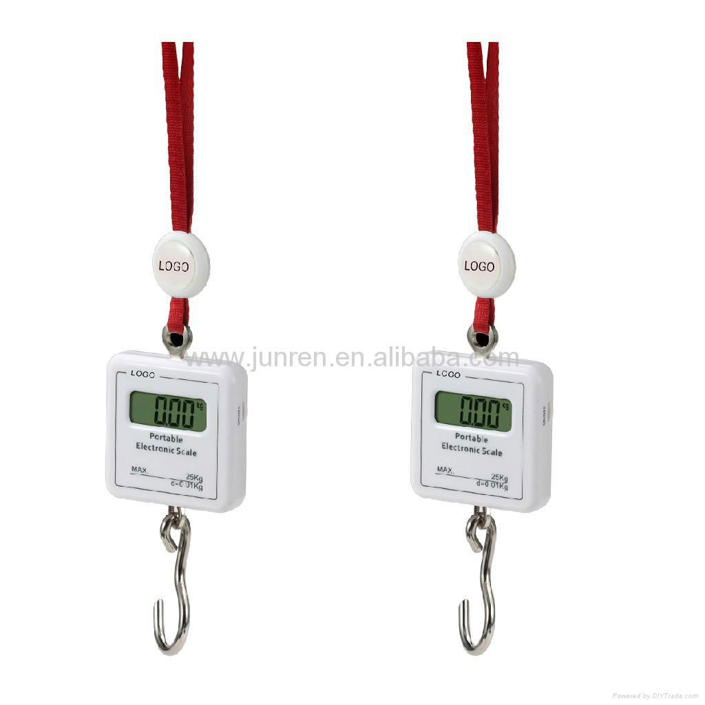 OCS-08 Model L   age Hanging Scale 2