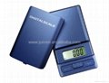 AC-02 Model Weight Scale 2