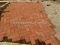  pacific brick, pavement brick 5