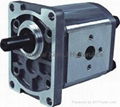 CBT-F3 Gear Pump 1