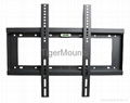 LCD Mounts