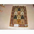 Silk Carpet  1