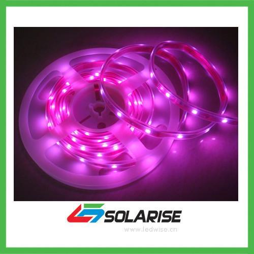 Flexible LED Strip 4