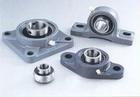 Pillow Block Bearing 1