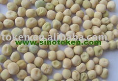 White Peas