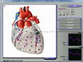 3D NLS Sub Health Analyzer 2