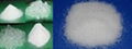 polyacrylamide