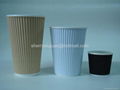 ripple paper cup  1