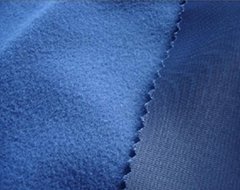 warp knitted fabric