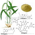 Ginger Extract